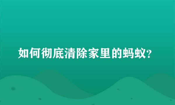 如何彻底清除家里的蚂蚁？