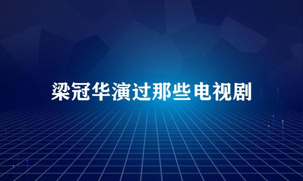 梁冠华演过那些电视剧