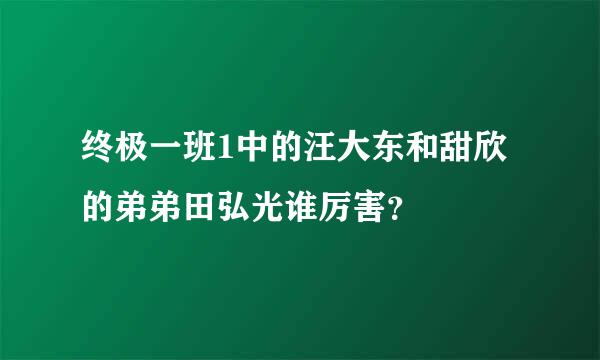 终极一班1中的汪大东和甜欣的弟弟田弘光谁厉害？