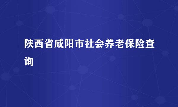 陕西省咸阳市社会养老保险查询