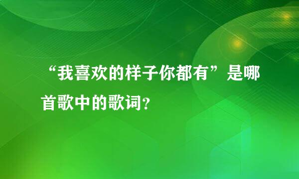 “我喜欢的样子你都有”是哪首歌中的歌词？