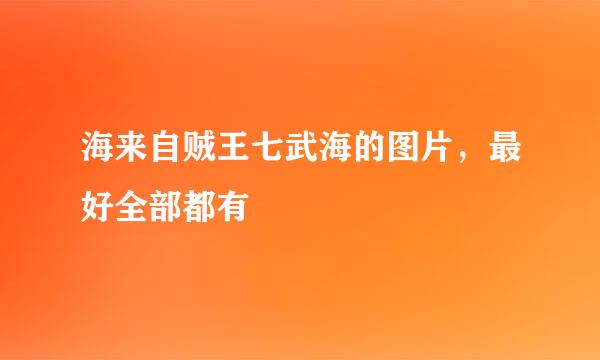 海来自贼王七武海的图片，最好全部都有