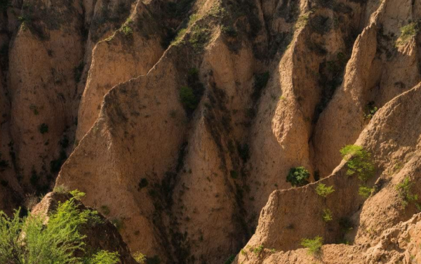 黄土高原地貌特征