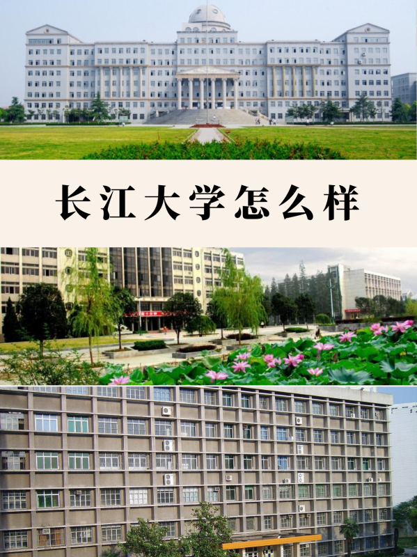 长江大学怎么样