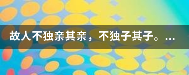 故人不独亲其亲，不独子其子。