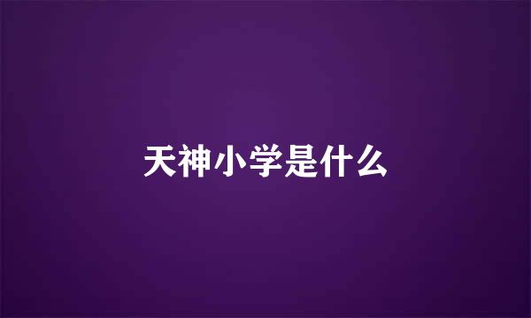 天神小学是什么