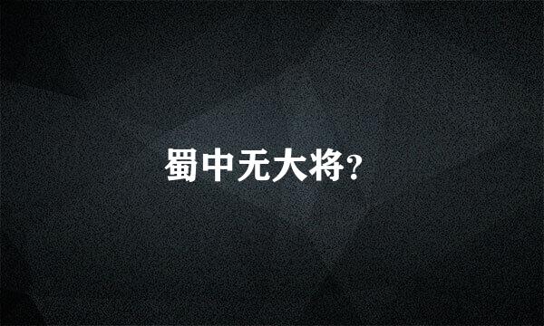 蜀中无大将？