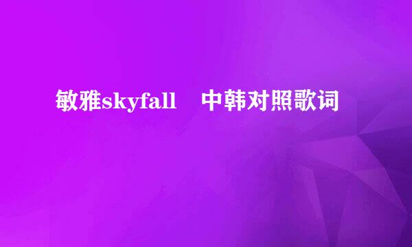 敏雅skyfall 中韩对照歌词