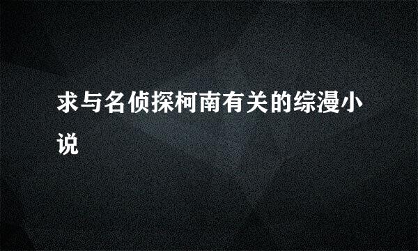 求与名侦探柯南有关的综漫小说