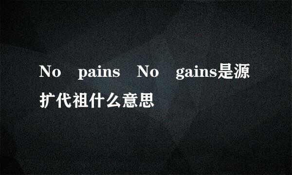 No pains No gains是源扩代祖什么意思