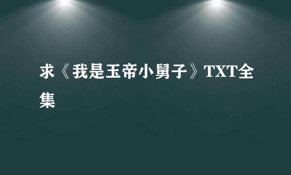 求《我是玉帝小舅子》TXT全集