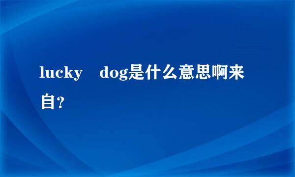 lucky dog是什么意思啊来自？