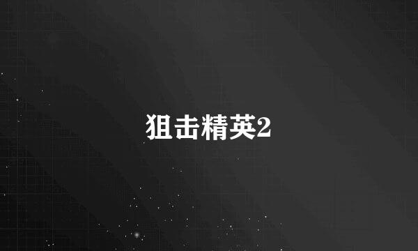 狙击精英2