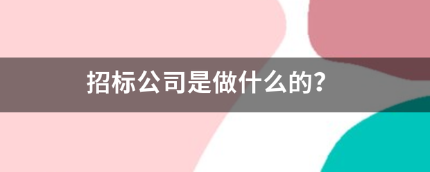 招标岁点公司是做什么的？