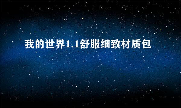 我的世界1.1舒服细致材质包