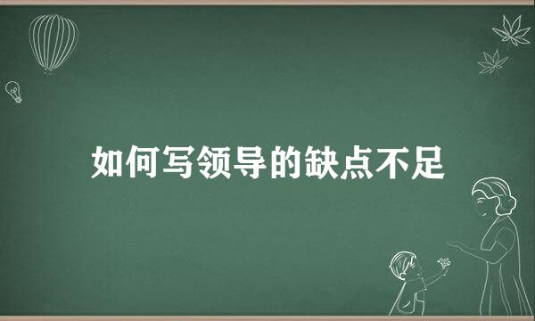 如何写领导的缺点不足