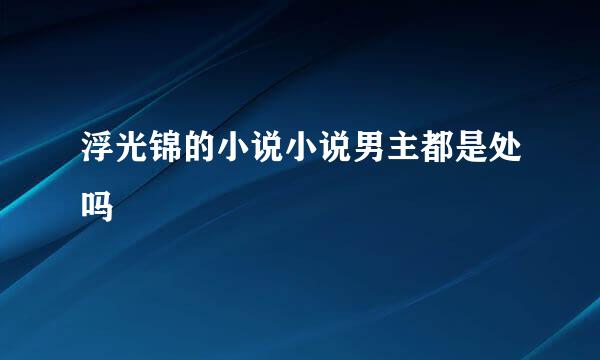 浮光锦的小说小说男主都是处吗