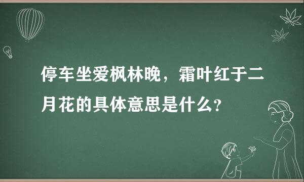 停车坐爱枫林晚，霜叶红于二月花的具体意思是什么？