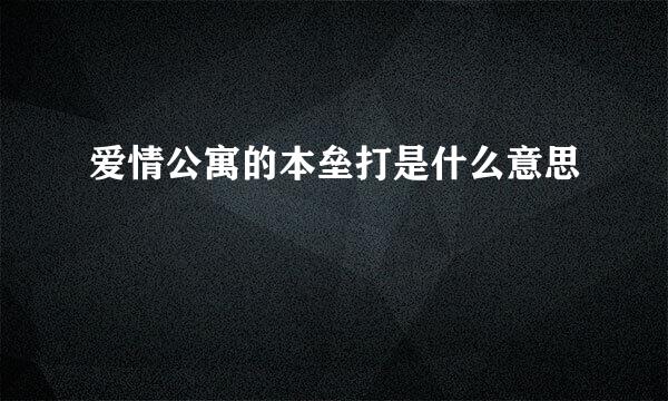 爱情公寓的本垒打是什么意思