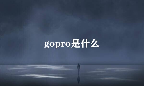 gopro是什么