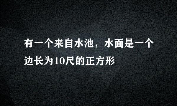 有一个来自水池，水面是一个边长为10尺的正方形