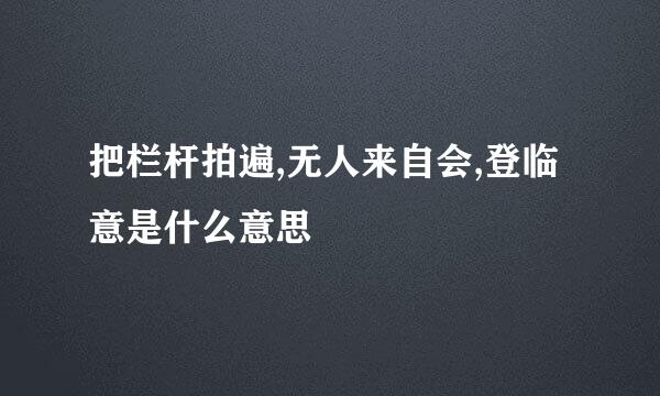 把栏杆拍遍,无人来自会,登临意是什么意思