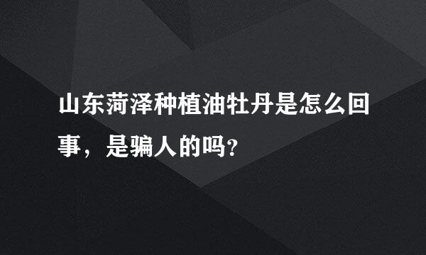 山东菏泽种植油牡丹是怎么回事，是骗人的吗？