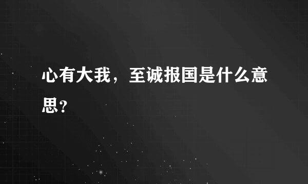 心有大我，至诚报国是什么意思？