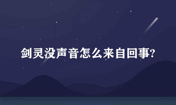 剑灵没声音怎么来自回事?