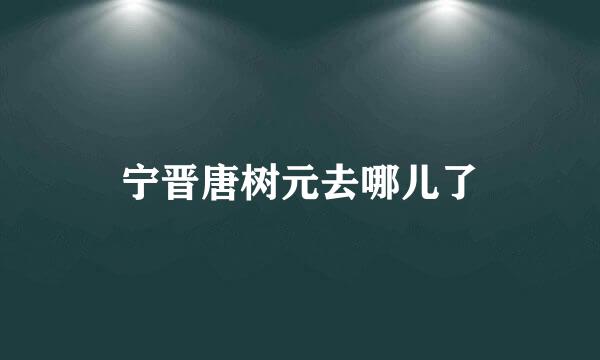 宁晋唐树元去哪儿了