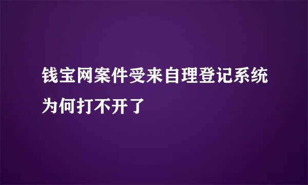 钱宝网案件受来自理登记系统为何打不开了