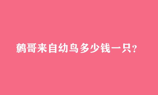 鹩哥来自幼鸟多少钱一只？