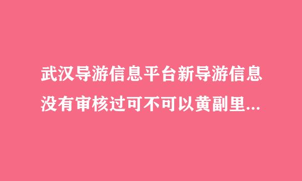 武汉导游信息平台新导游信息没有审核过可不可以黄副里重新审核？