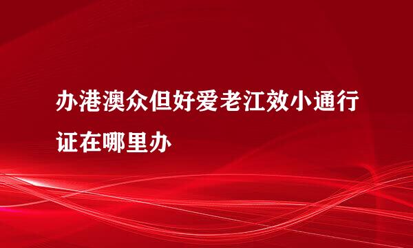 办港澳众但好爱老江效小通行证在哪里办