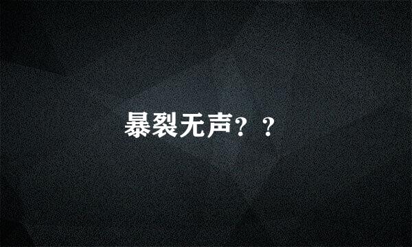 暴裂无声？？