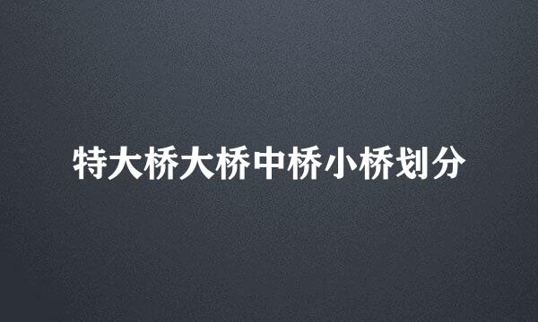 特大桥大桥中桥小桥划分