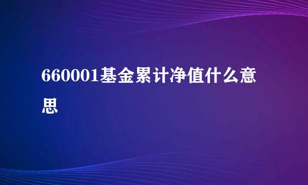 660001基金累计净值什么意思