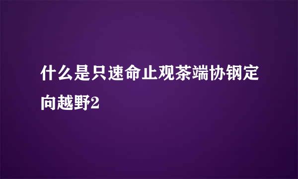 什么是只速命止观茶端协钢定向越野2