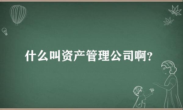 什么叫资产管理公司啊？