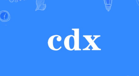 cdx是什么意思？