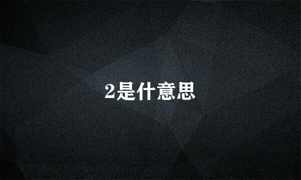 2是什意思