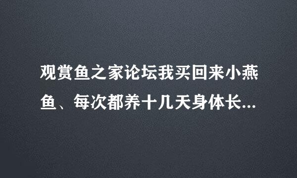 观赏鱼之家论坛我买回来小燕鱼、每次都养十几天身体长白毛死掉为什么