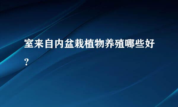 室来自内盆栽植物养殖哪些好？