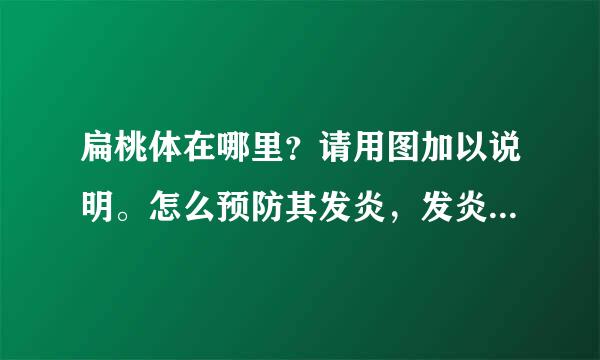 扁桃体在哪里？请用图加以说明。怎么预防其发炎，发炎是扁桃体有什么突出表现？红吗？还是什么的