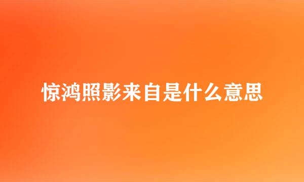 惊鸿照影来自是什么意思