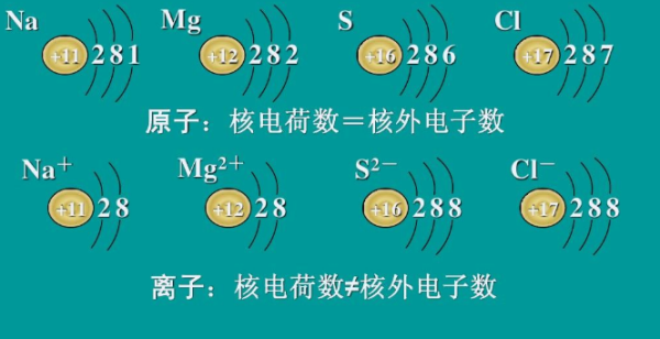 核电荷数由什么决定