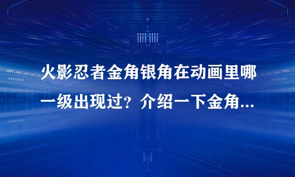 火影忍者金角银角在动画里哪一级出现过？介绍一下金角银角来自的详细信息，谢谢了！