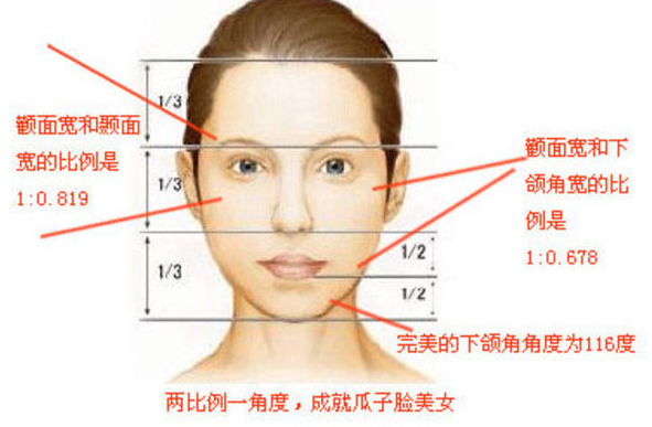 非常好看的鹅蛋脸和瓜子脸，有什么区别呢？