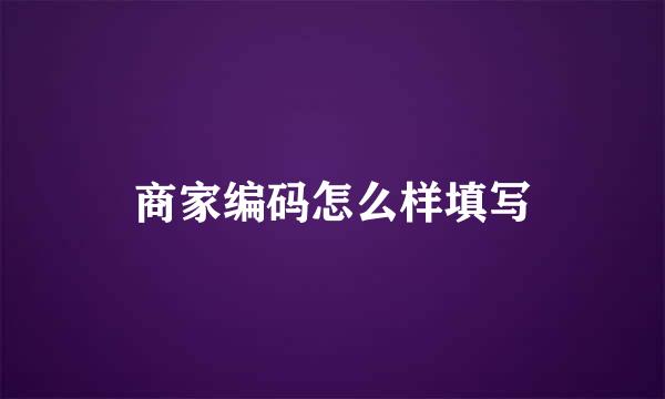 商家编码怎么样填写