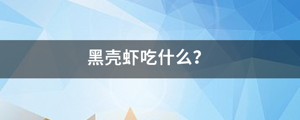 黑壳虾吃什么？